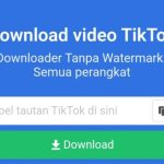 Snaptik Download Tiktok MP3 & MP4 Tanpa Watermark