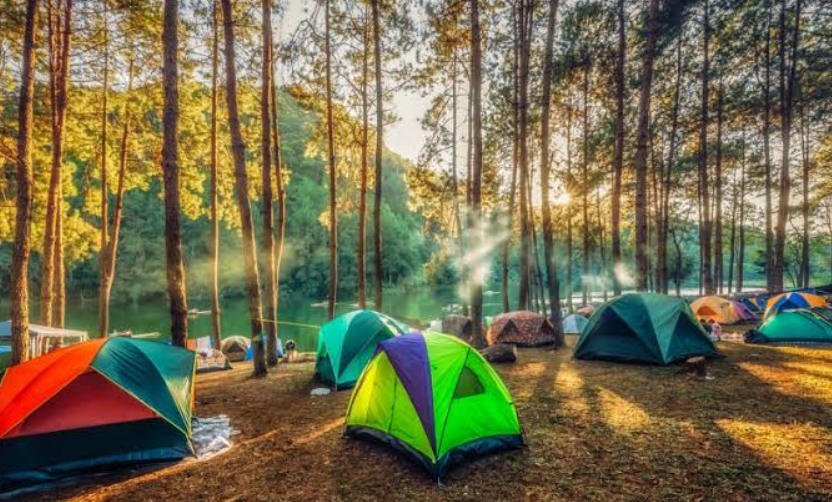 Taman wisata Gunung Pancar dapat menjadi tempat camping.